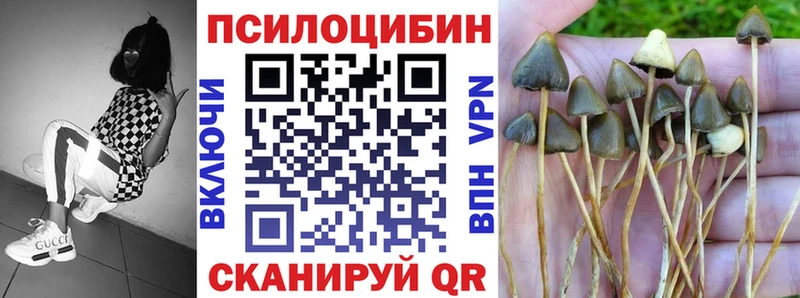 Псилоцибиновые грибы мухоморы  дарнет шоп  Калтан 